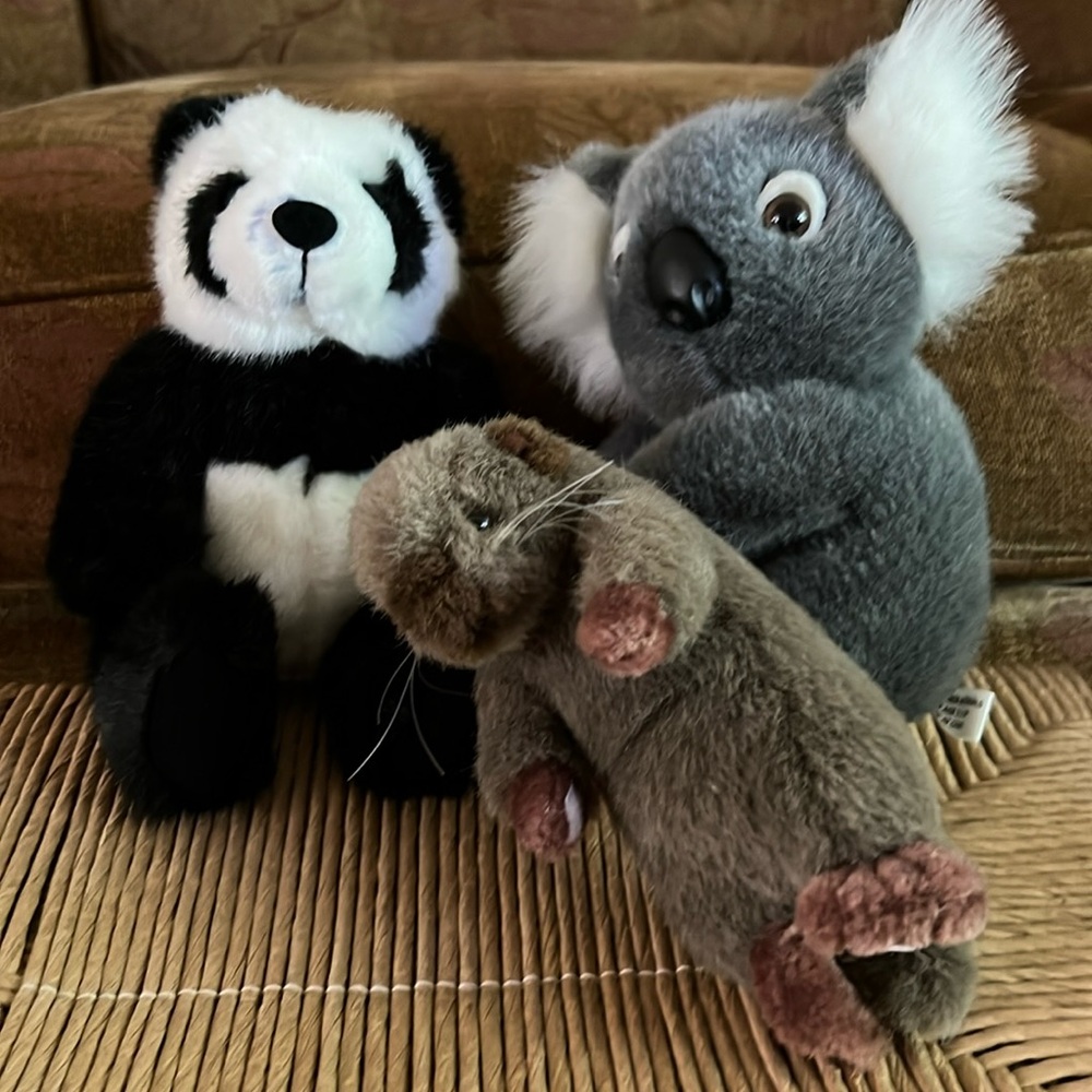 Bundle of Stuffed Zoo Animals- EC